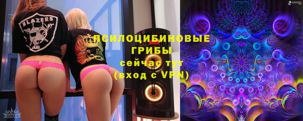 a pvp Алексин
