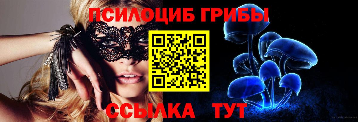 Галлюциногенные грибы Psilocybe  Вход с VPN  Киржач 